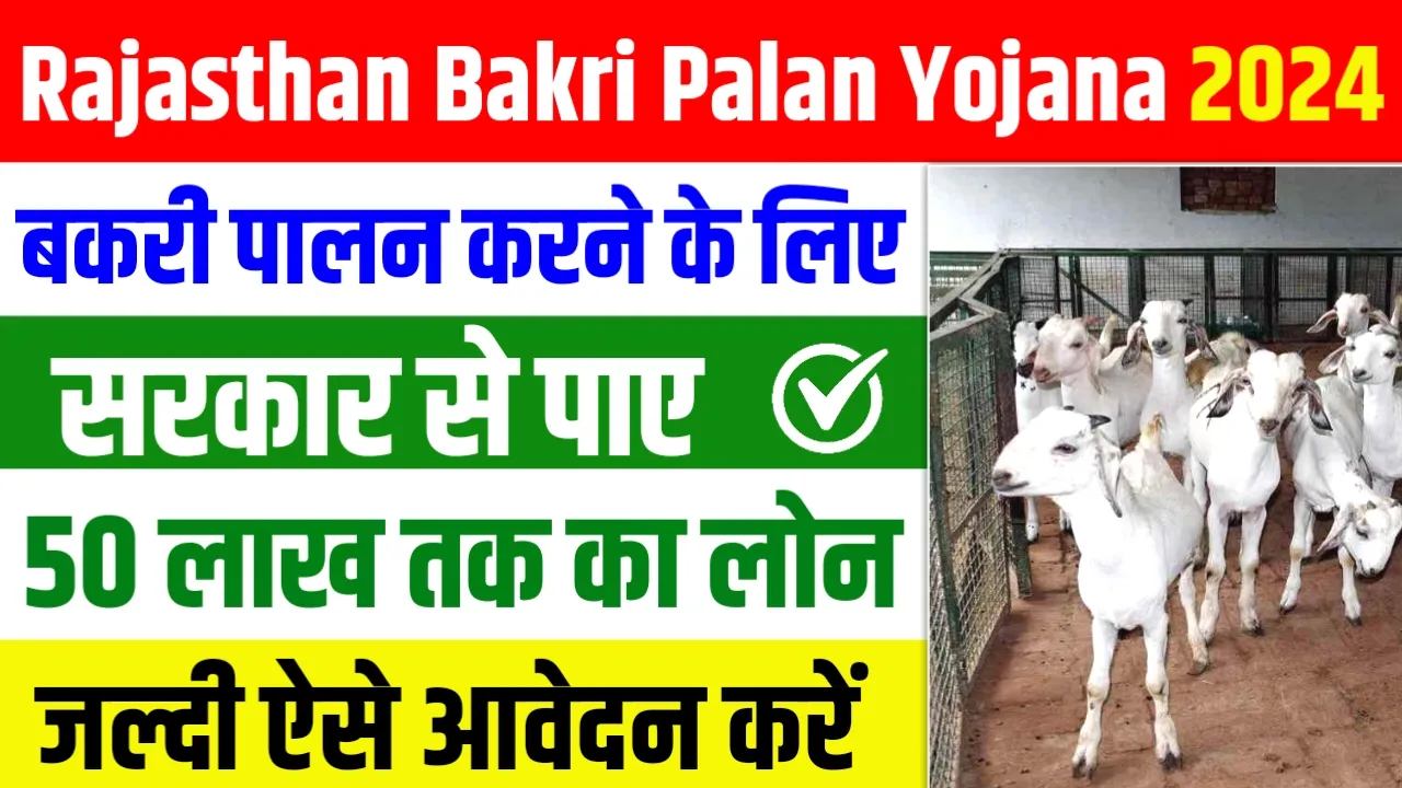 Rajasthan Bakri Palan Yojana 2024